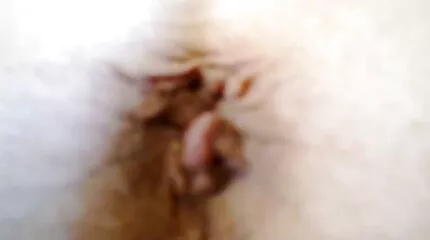 mac mac fucks latinoer. porno dansk gratis