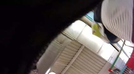 Provinsen overgiver sig til muscoviten dansk sex video for at erobre hovedstaden.