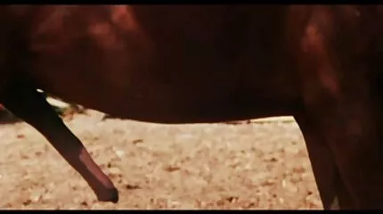 Olivia salta dansksex